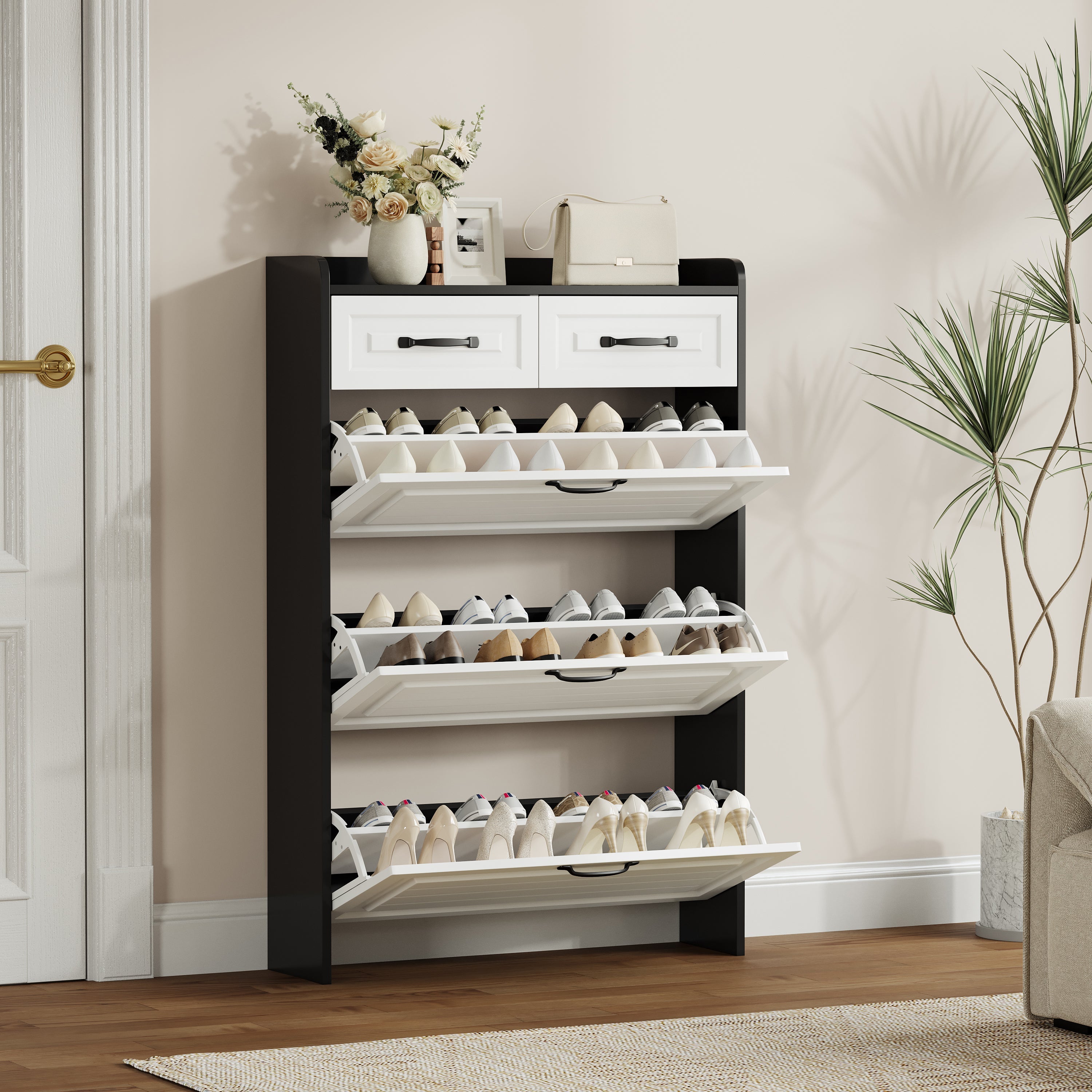 Black Shoe Cabinet with 3 Doors 2 Drawers