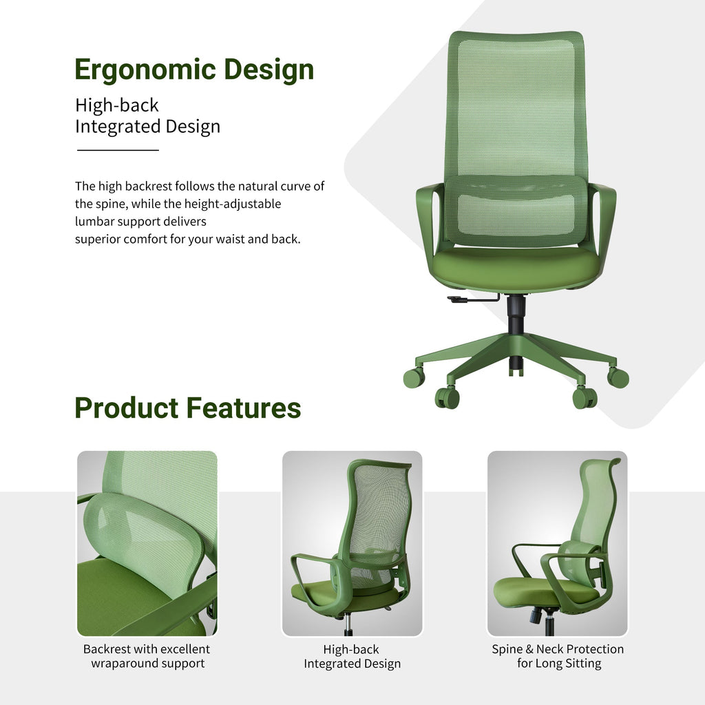 Modern Executive Office Chair with Adjustable Height Lumbar Support