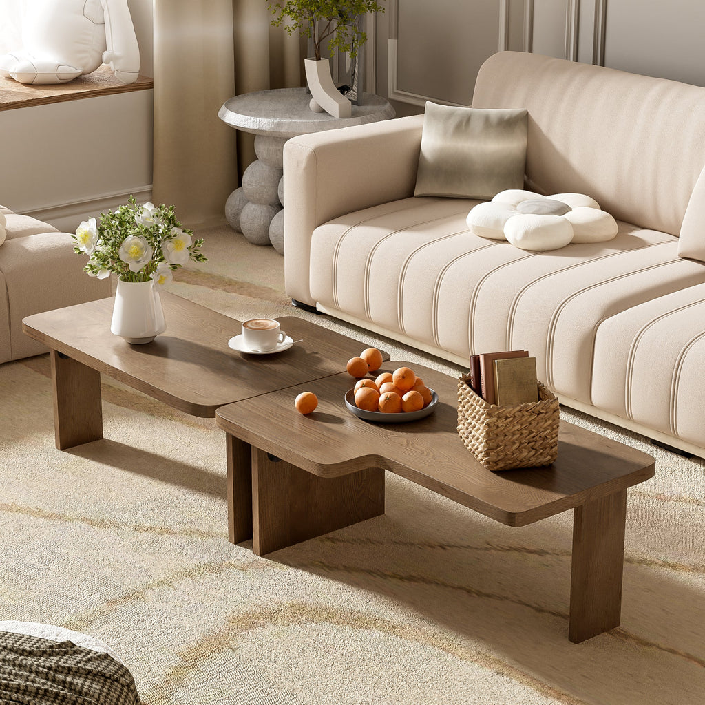Modern Minimalist Coffee Table Set for Living Room
