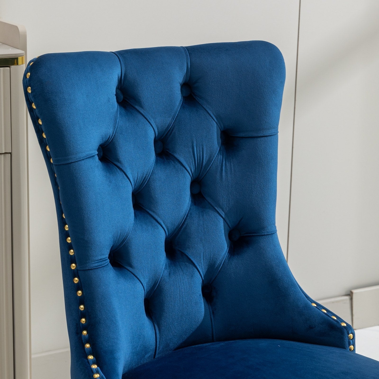 Modern High-end Tufted Solid Wood Velvet Dining Chairs (Set of 2)