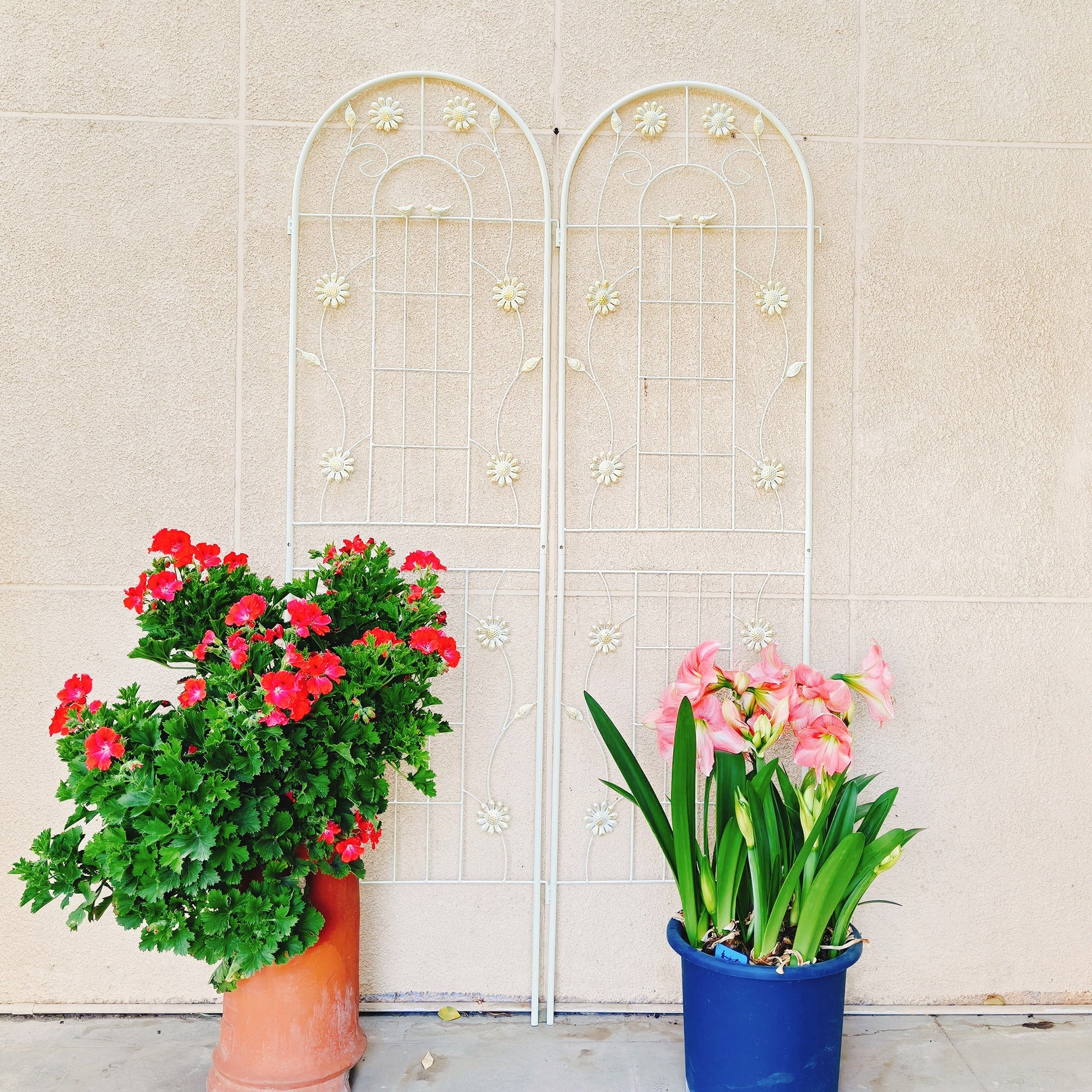 Metal Garden Trellis 71' x 19.7' Rustproof Trellis for Outdoor Flower Support