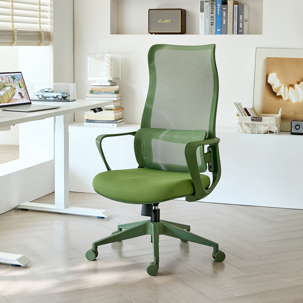 Modern Executive Office Chair with Adjustable Height Lumbar Support